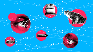 Illustration for article titled The Manospheres Existential Crisis Is Building the Future of the Far-Right